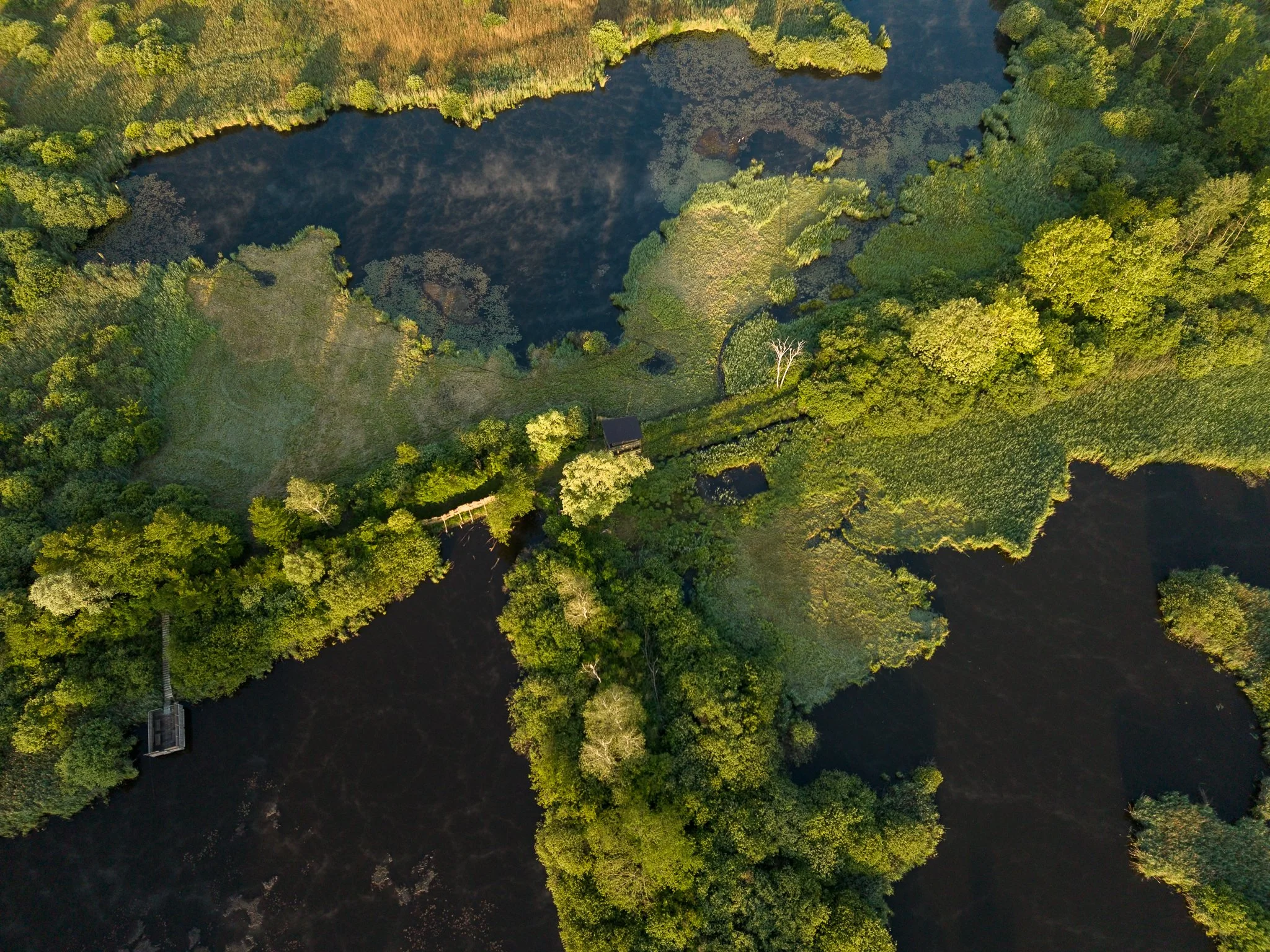 DJI_20260522064510_0047_D.jpg