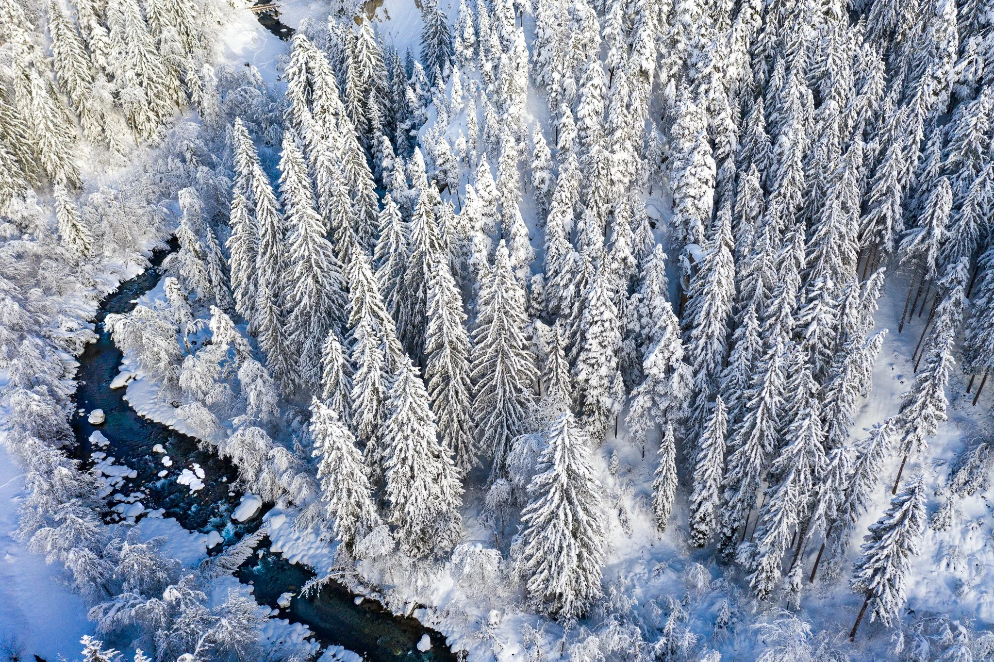 DJI_0648.jpg