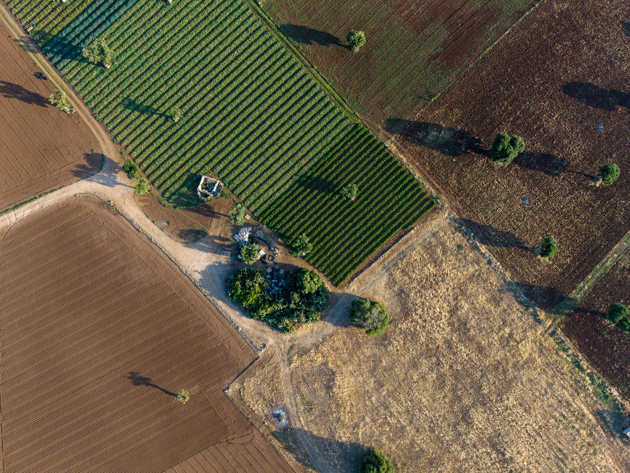 DJI_20260623185723_0060_D.jpg