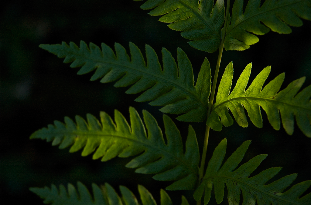 DSC_0028.png