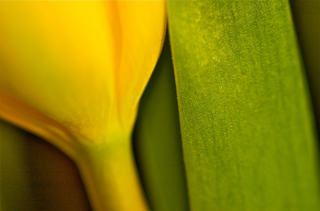 DSC_0042_2_2.png