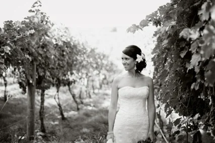 Bride_Vineyard.jpg