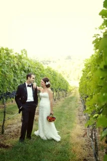 vineyard2.jpg