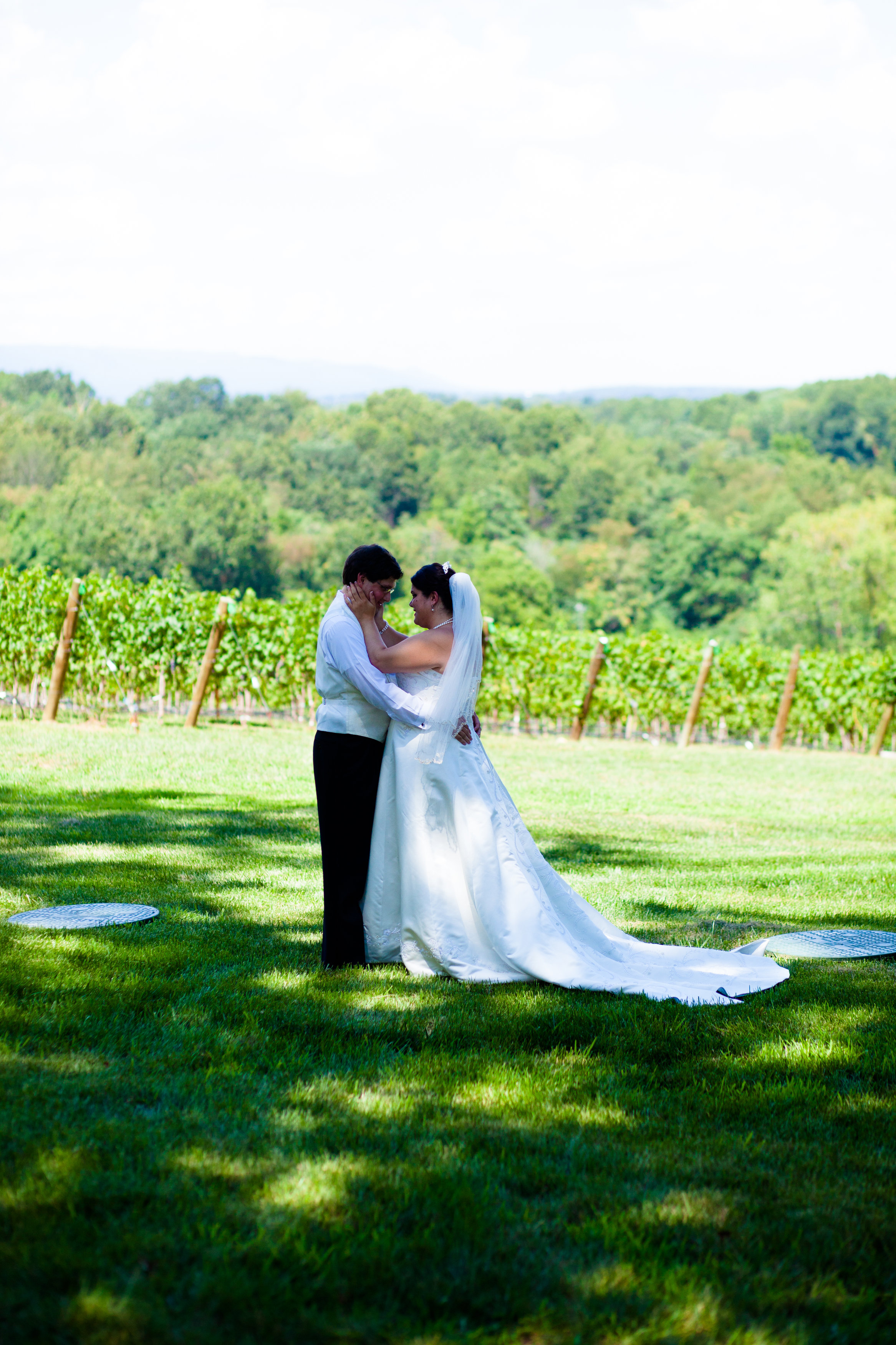 Ben_and_Amanda_July_28_2012-Bride_and_Groom-0096.jpg