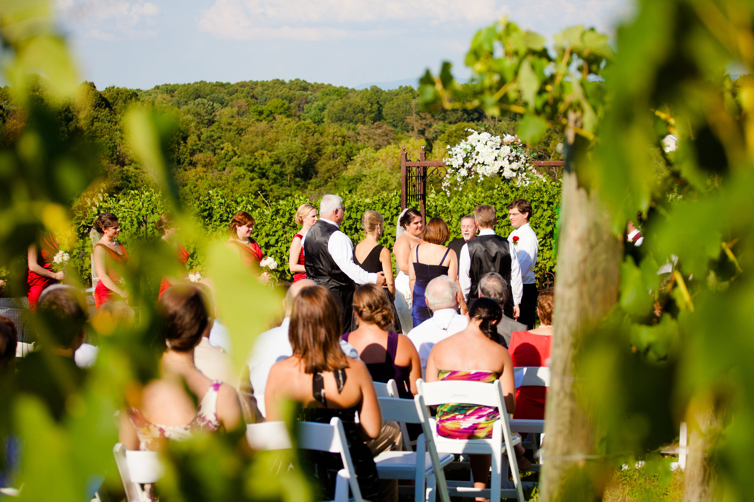 Ben_and_Amanda_July_28_2012-Ceremony-0128.jpg