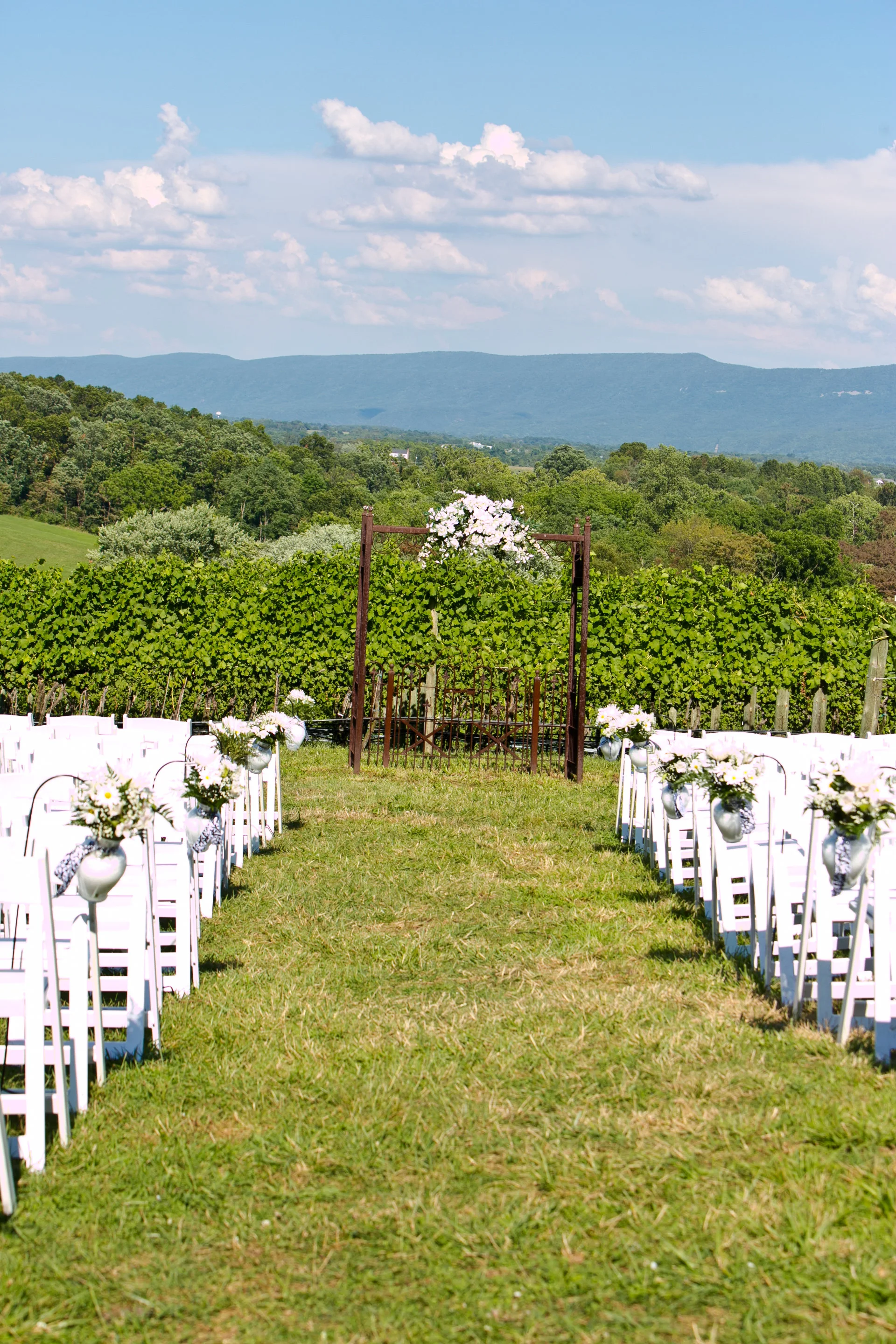 Ben_and_Amanda_July_28_2012-Details-0059.jpg