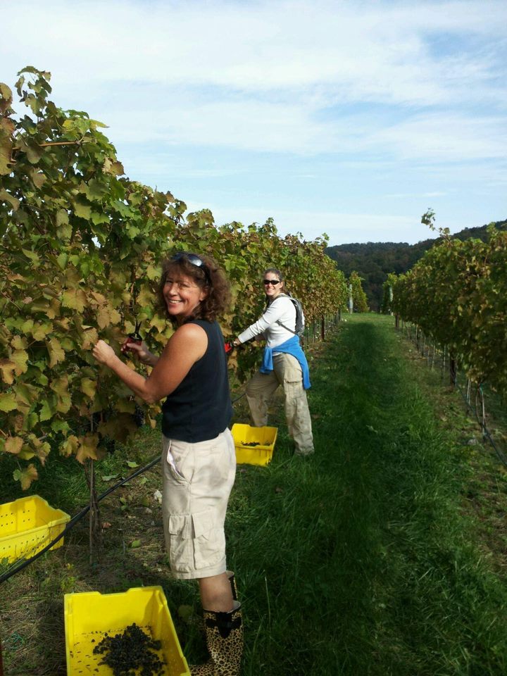 Harvest
