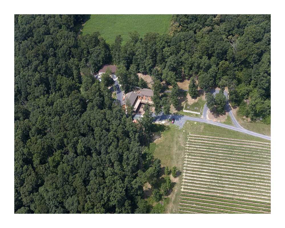AIMG_9923caveridge-vineyard.jpg