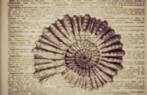 Wine Club 2nd Quarter Release Party