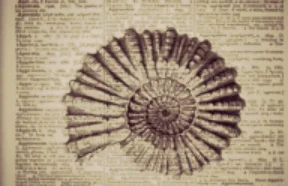 Wine Club 3rd Quarter Release Party