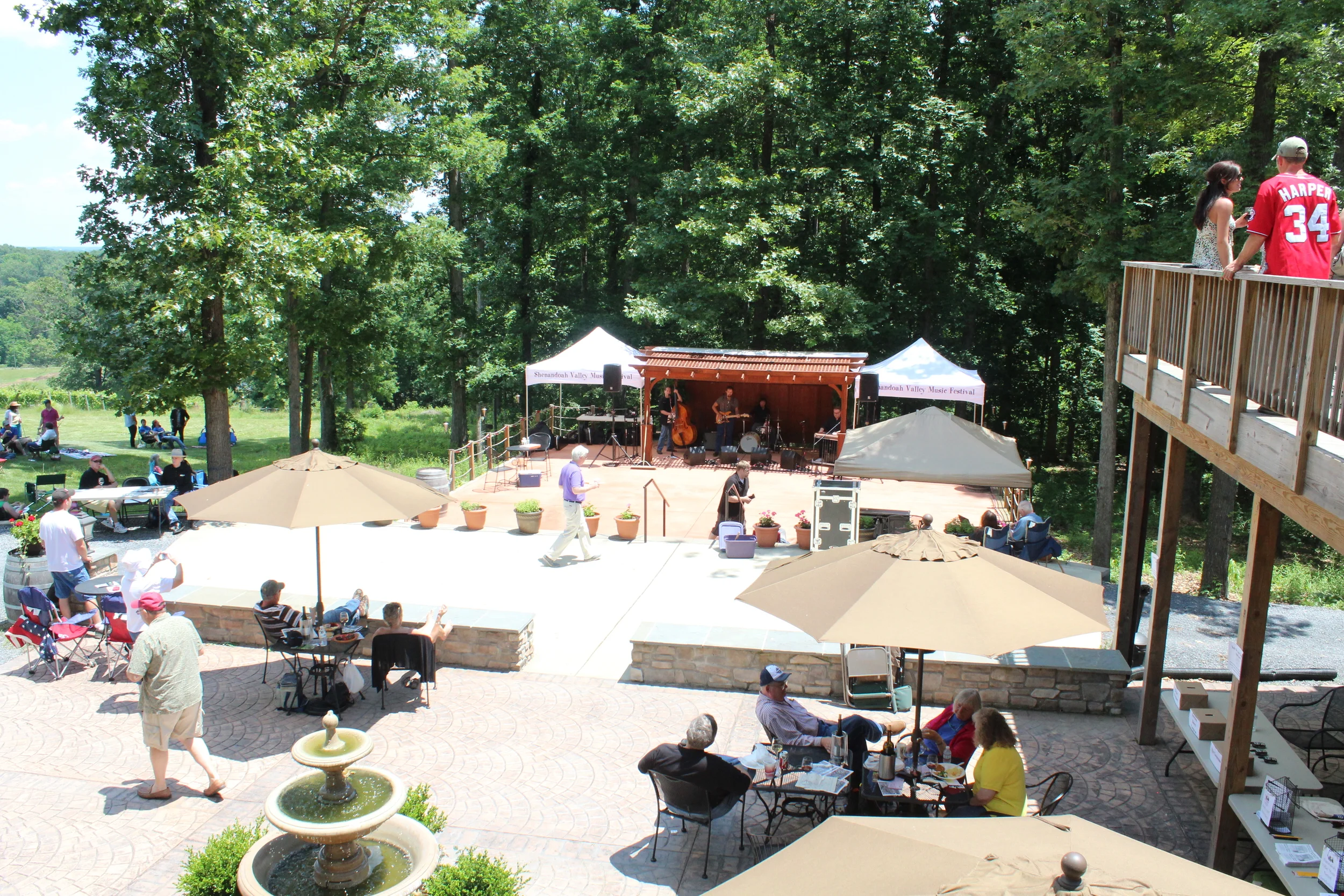  Photo by Annette Gregg 