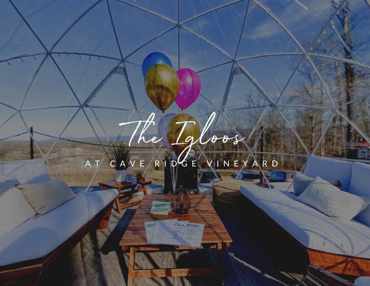 The Original Igloo Experience at Cave Ridge Has Returned For The 6th Season!