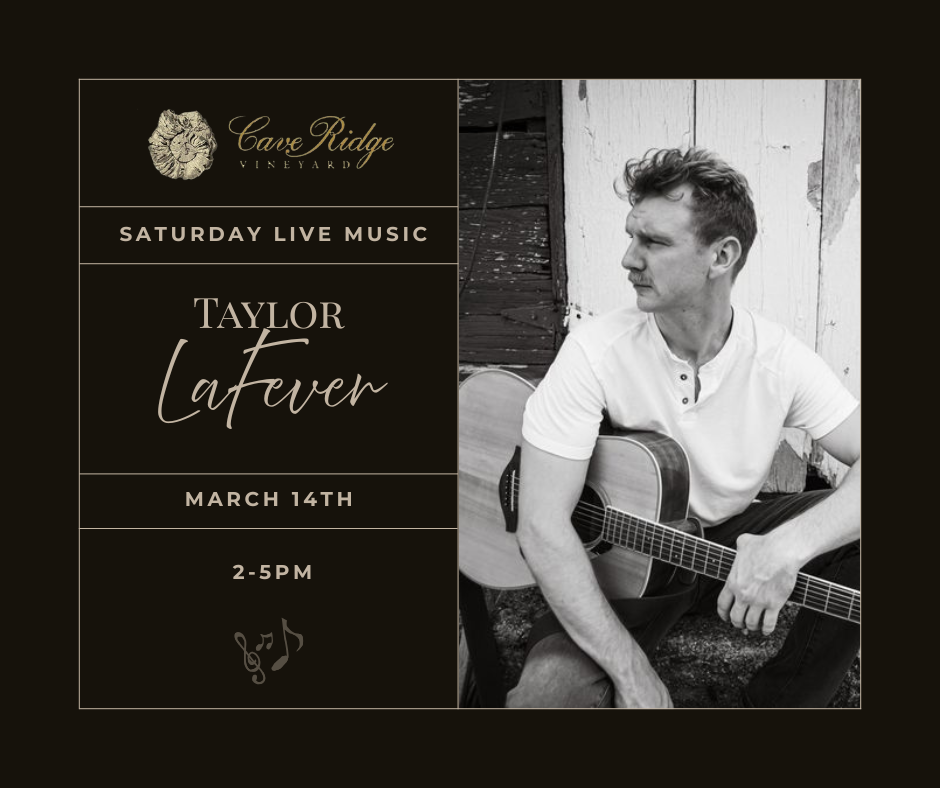 Live Music- Taylor LaFever