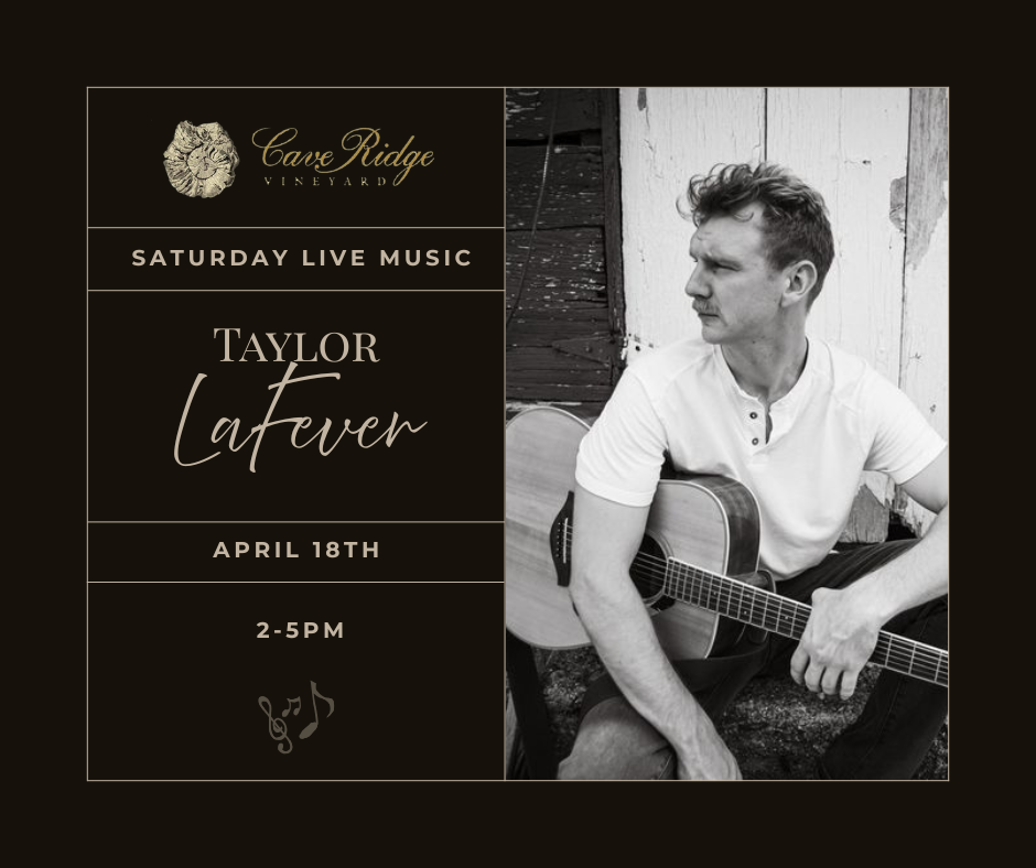 Live Music- Taylor LaFever
