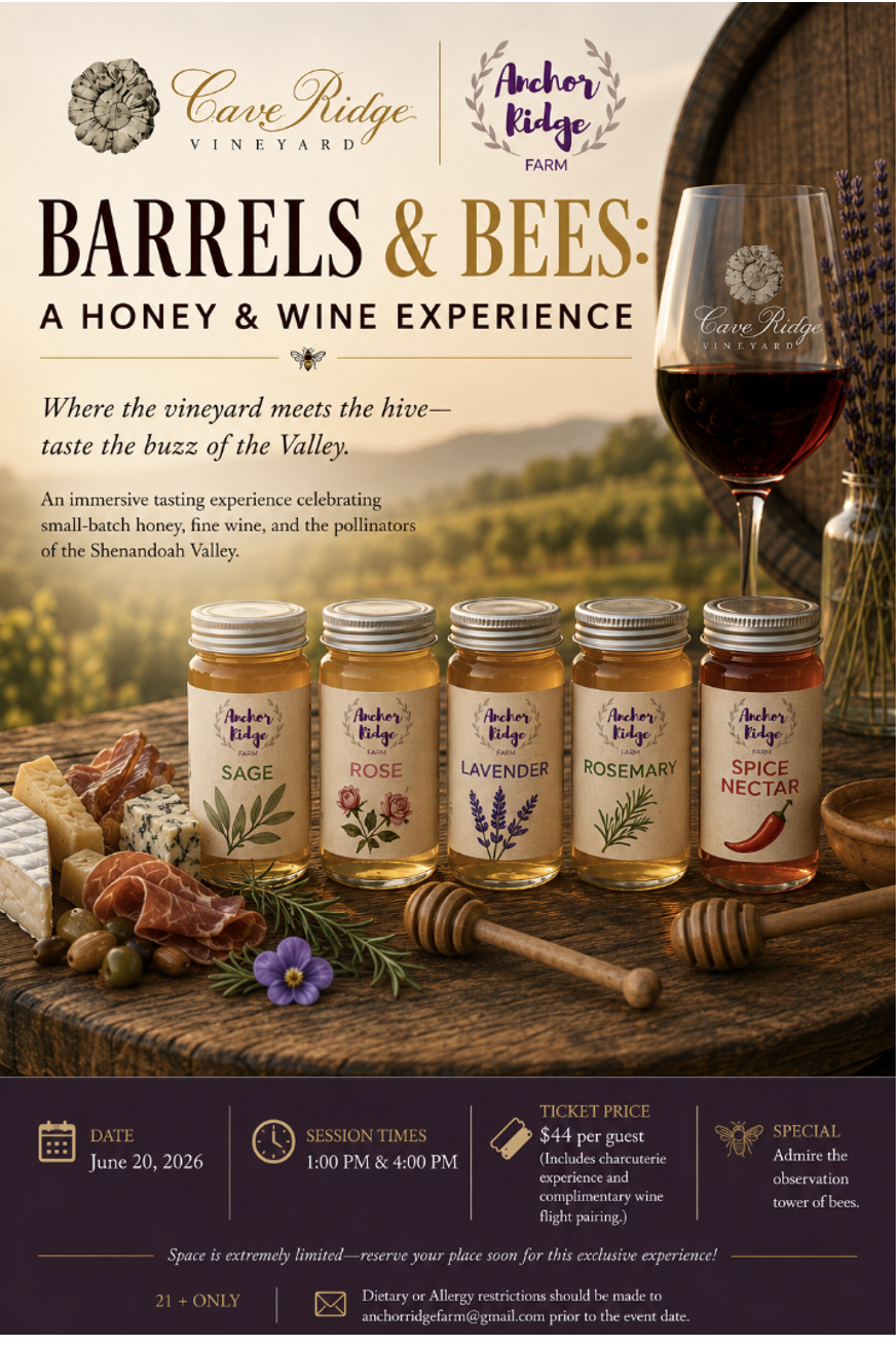 🍯 Barrels &amp; Bees: A Honey &amp; Wine Experience 🍷 1pm Session
