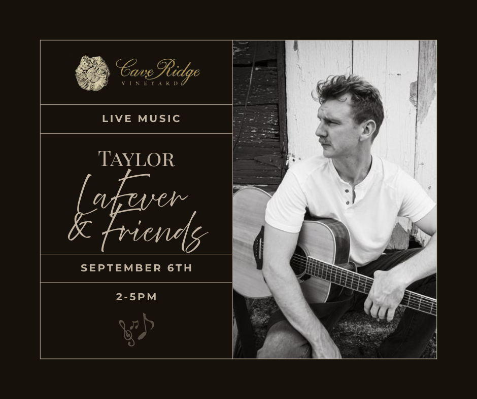 Live Music- Taylor LaFever &amp; Friends (The Fever Project)