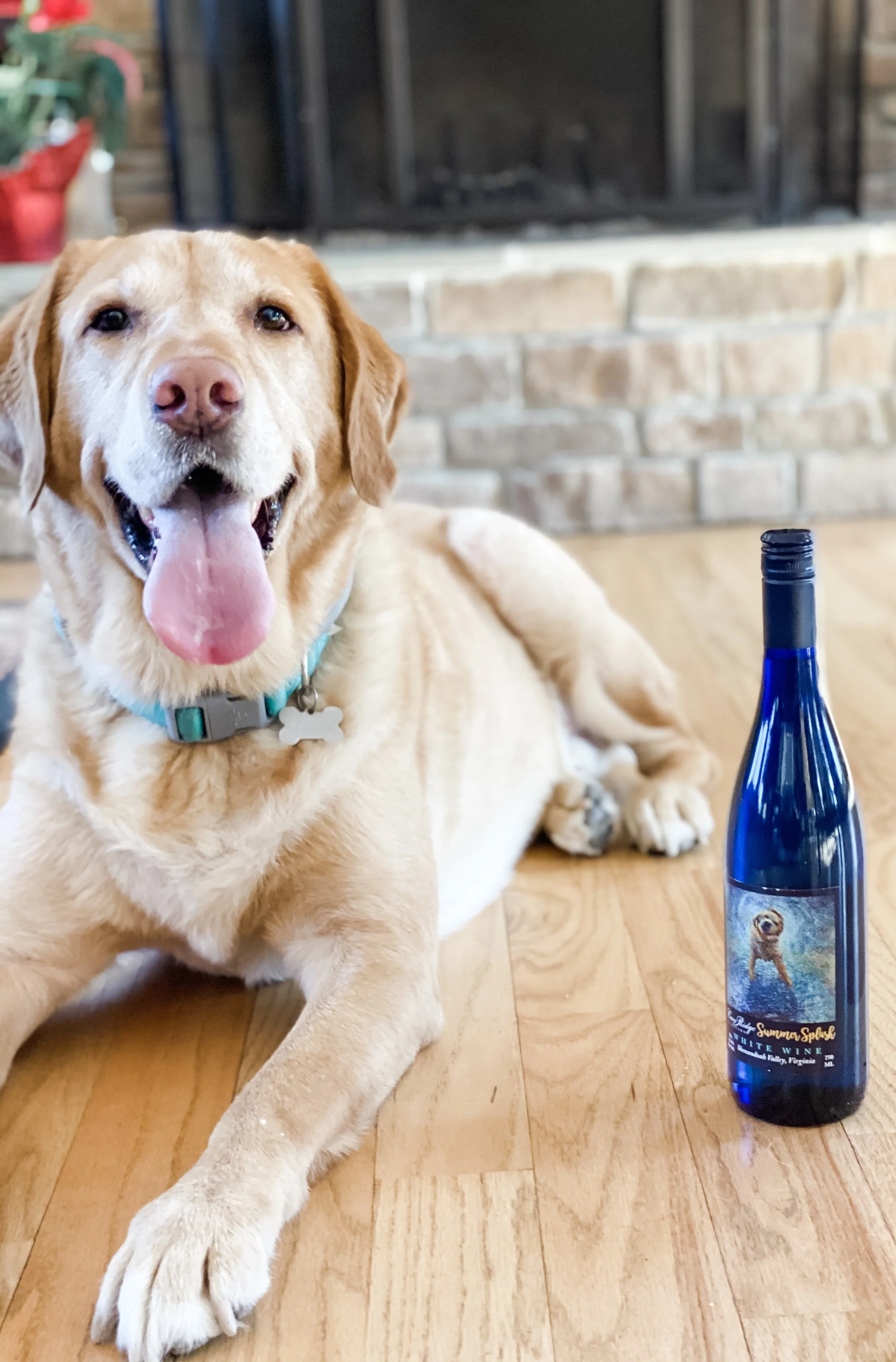 Visit Us — Cave Ridge Vineyard