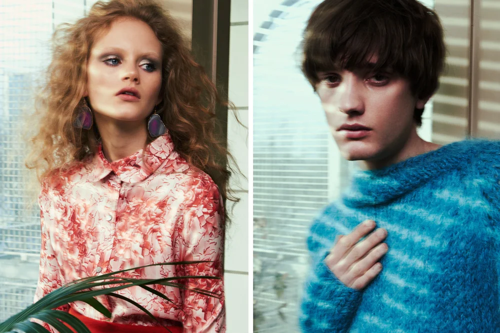 Wolf and Badger1.jpg