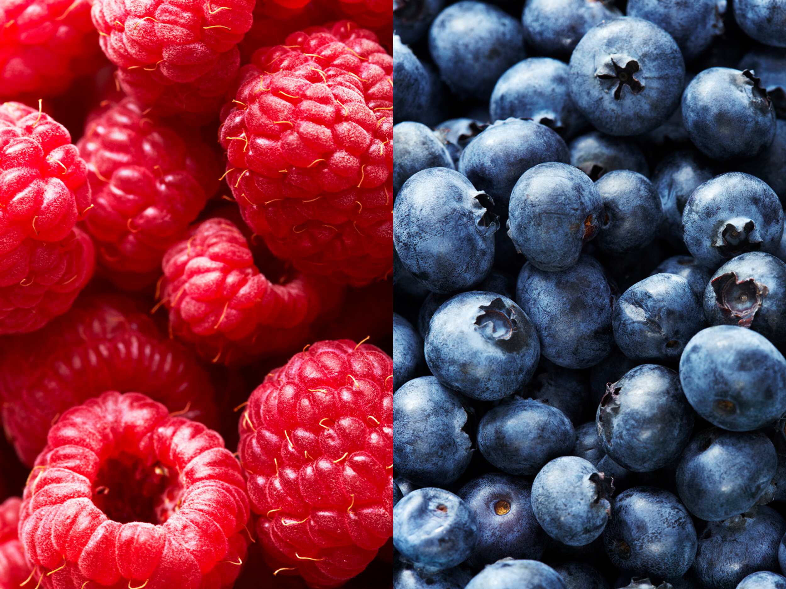 PRP_FOOD_009.jpg
