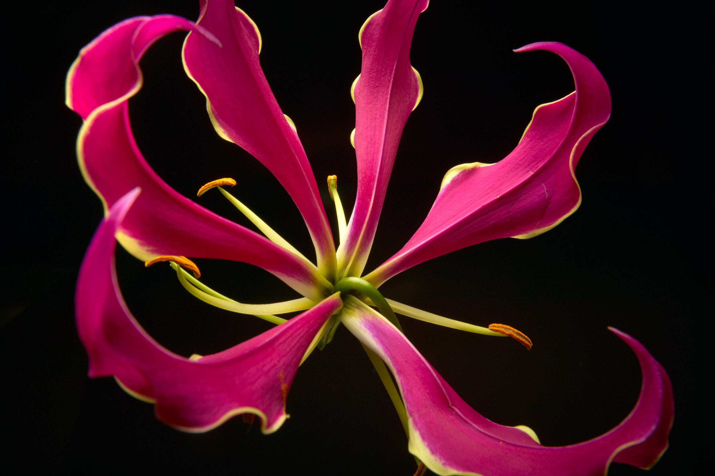 PRP_SL_035.jpg
