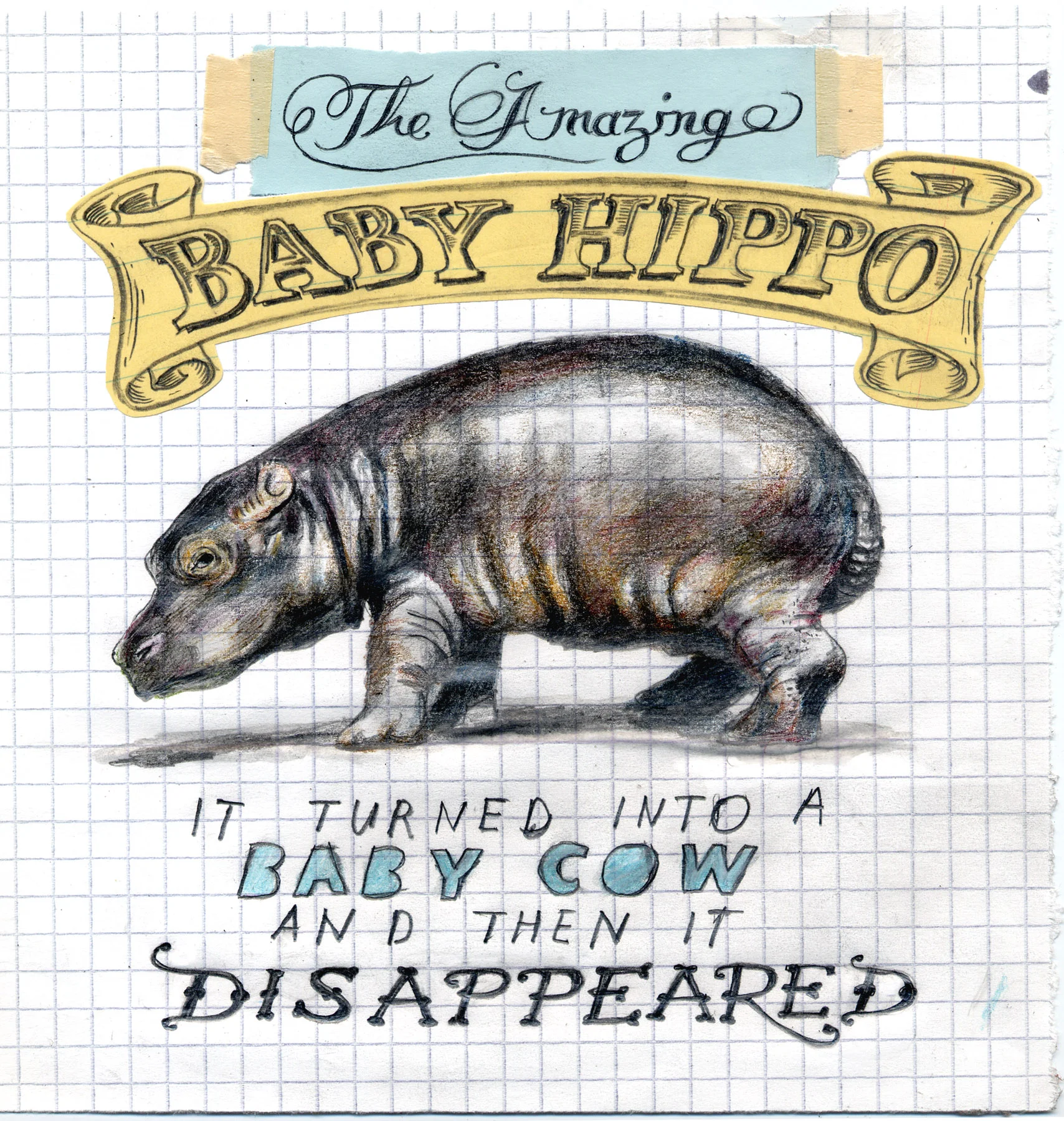 Baby_hippo_final.jpg