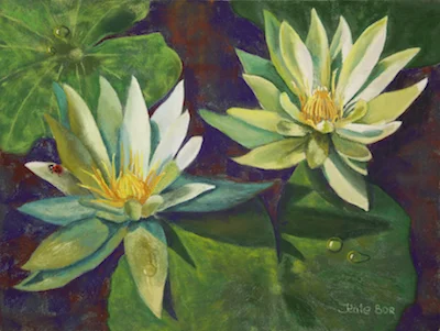 WATER LILIES @ GUEST