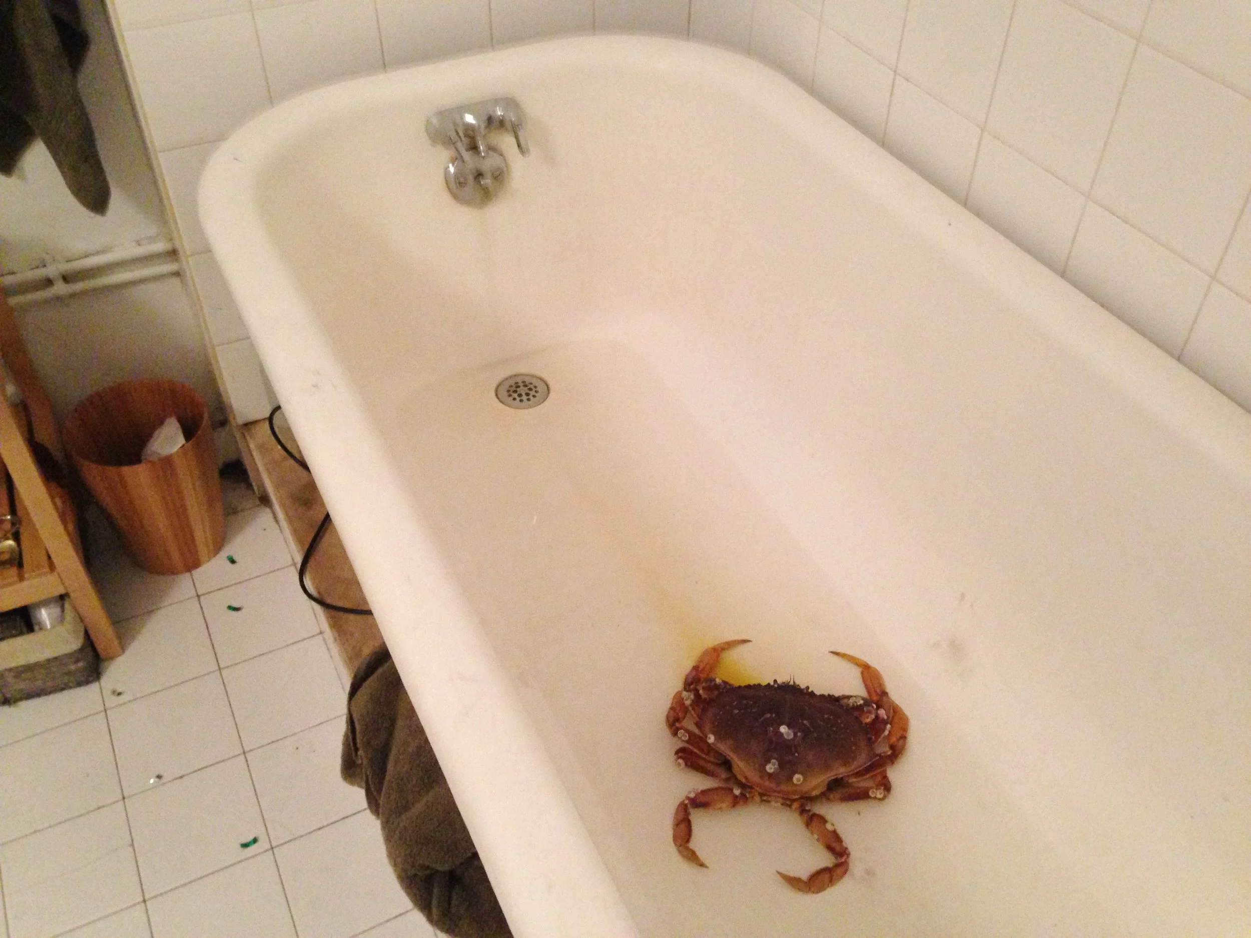 17_NEW YORK_IMG_3384.JPG