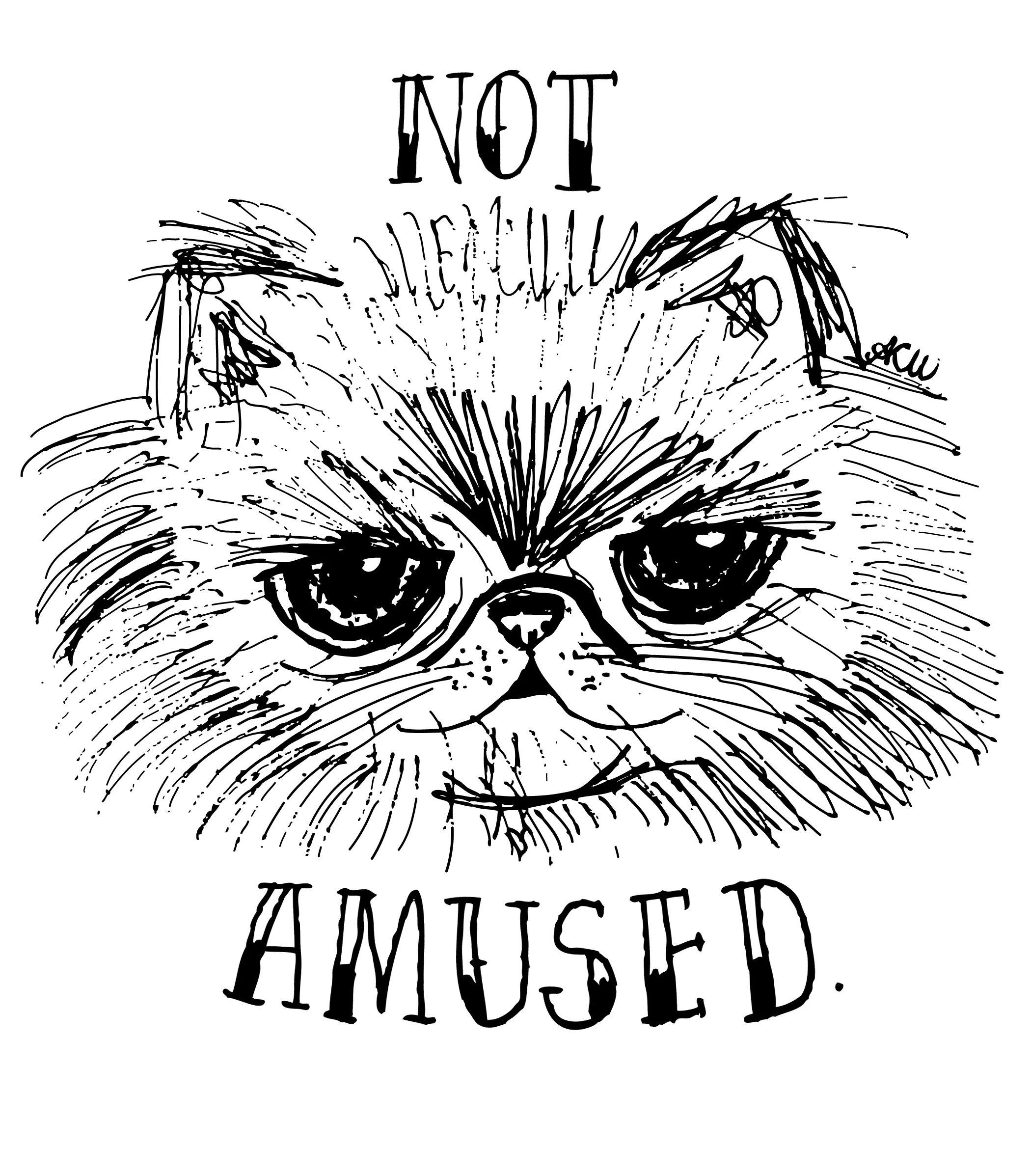 not amused.jpg