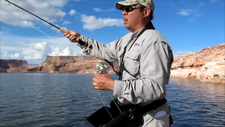 Rexfly double haul fly rod casting.png
