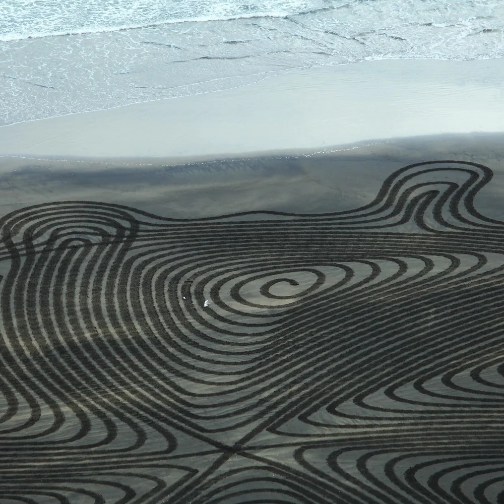 SimonBeck_Muriwai_ECU_Oct17_2014_v02_lowres.jpg