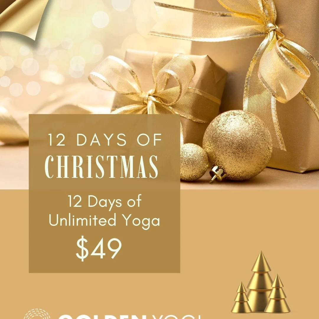 🎄 12 Days of Christmas....12 Days of Unlimited Yoga 🎄 $49

A beautiful way to reset and breathe this festive season.

Enjoy twelve days of unlimited yoga with access to our full timetable.
Any class. Any style. Any time between now and the end of J
