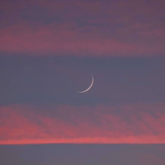 🌑 Pisces New Moon Wisdom

On March 19 the Moon renews itself in Pisces, the final sign of the zodiac.

Just one day later the Equinox arrives and the Sun moves into Aries, beginning a new astrological year.

This New Moon is the quiet breath before 