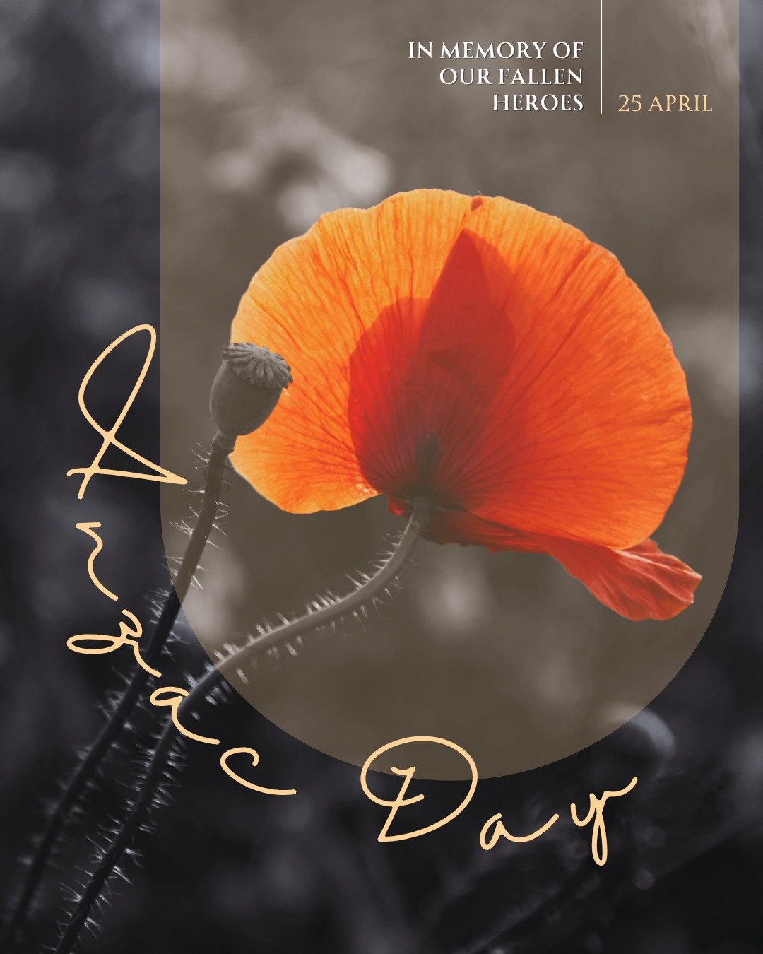 Today we are still.

Anzac Day moves through us like a slow, sacred breath. A moment held in the chest. A softening into something much larger than ourselves.

Yoga teaches us that to be truly present is one of the greatest acts of devotion we can of