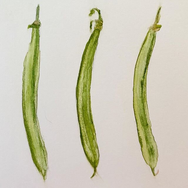 Green beans, babyyyy. #doodlewashmay2020 #watercolorpainting