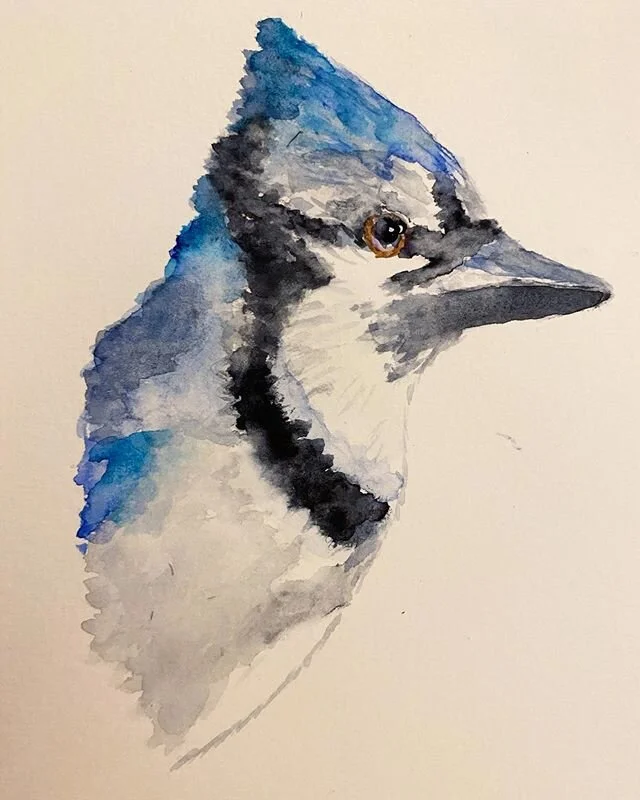 Quick little blue jay for a Friday night. #doodlewashmay2020
