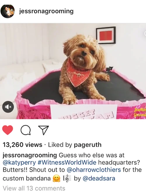 JessGrooming.jpg