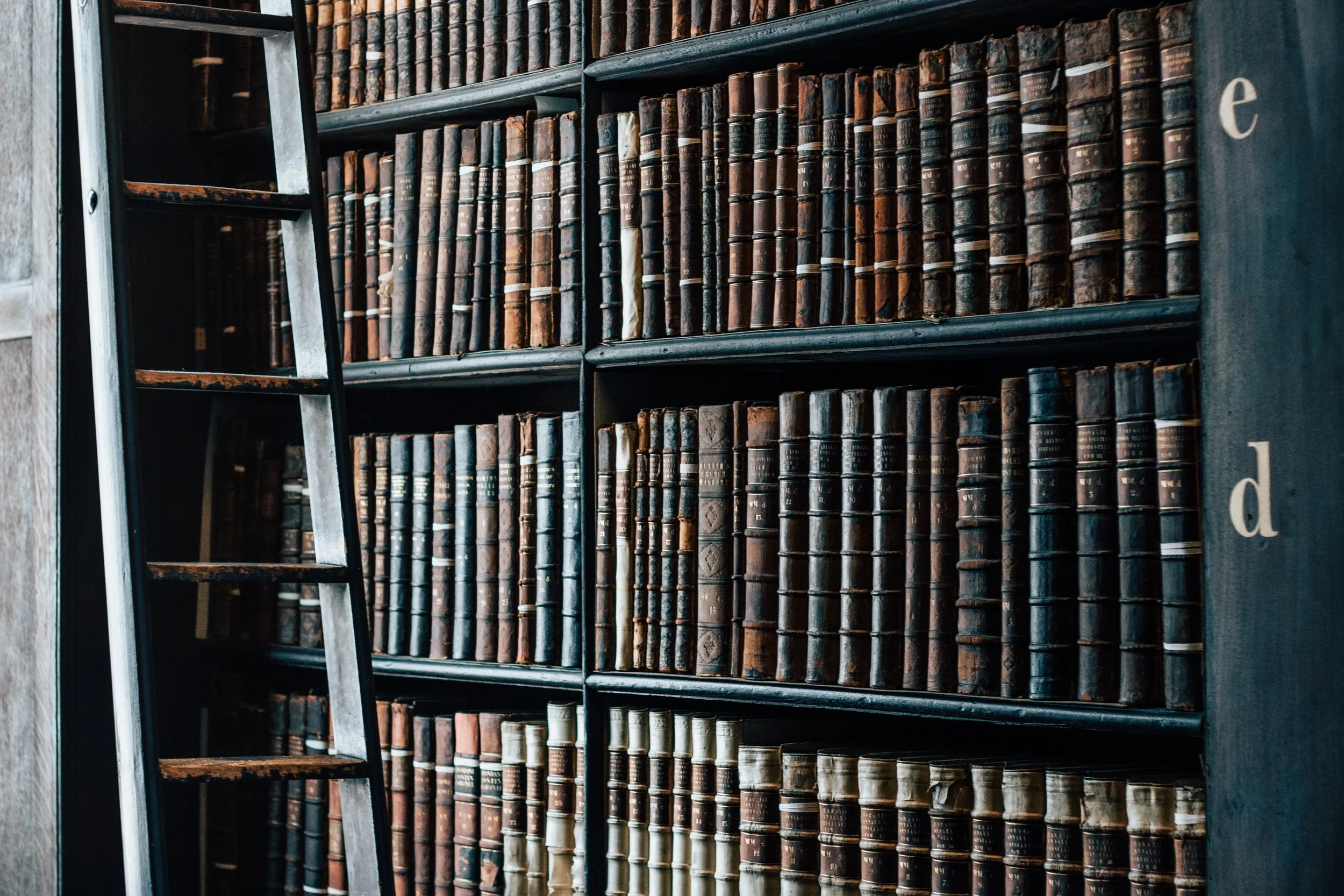 bookshelf-1082309.jpg