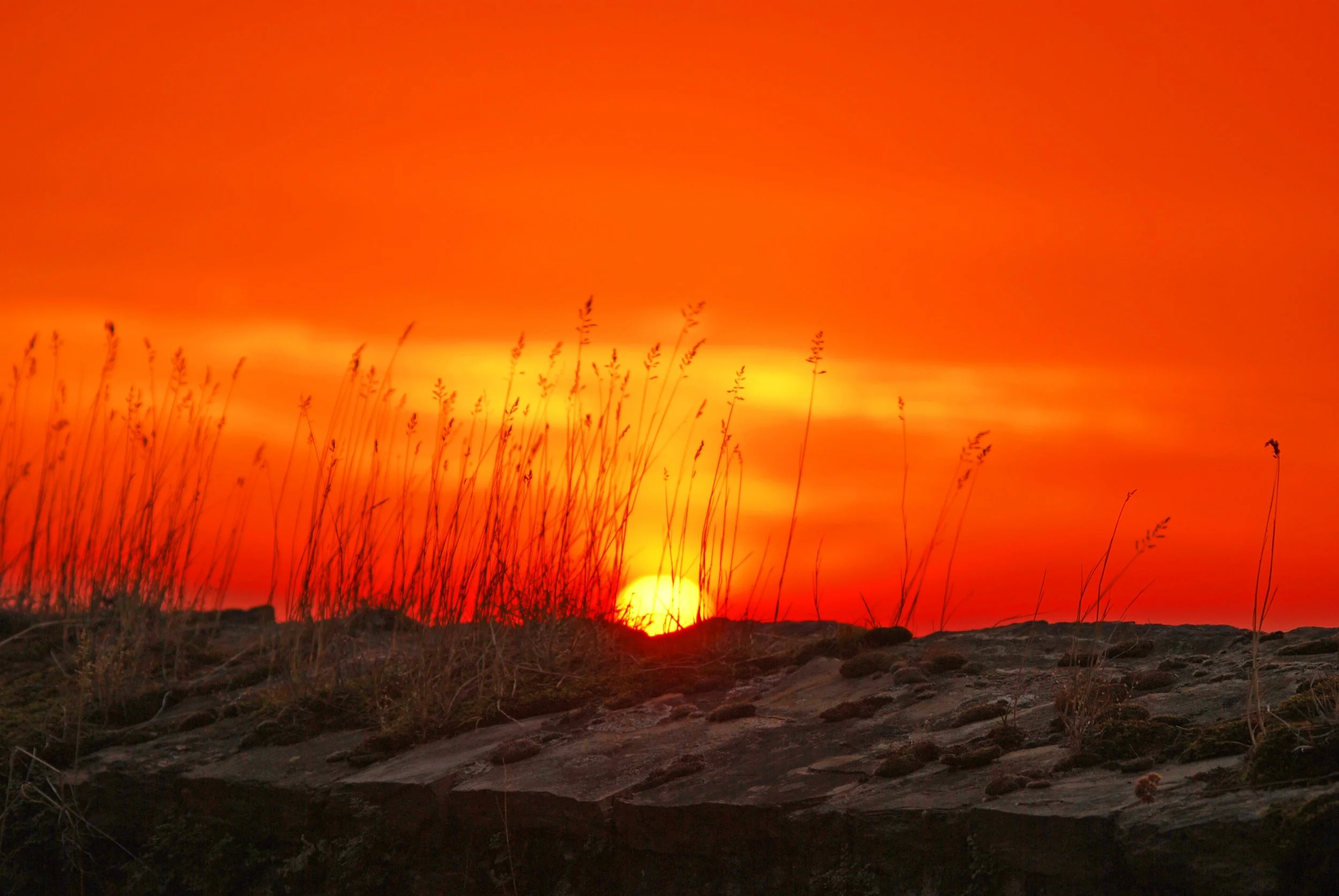 sun-209495.jpg