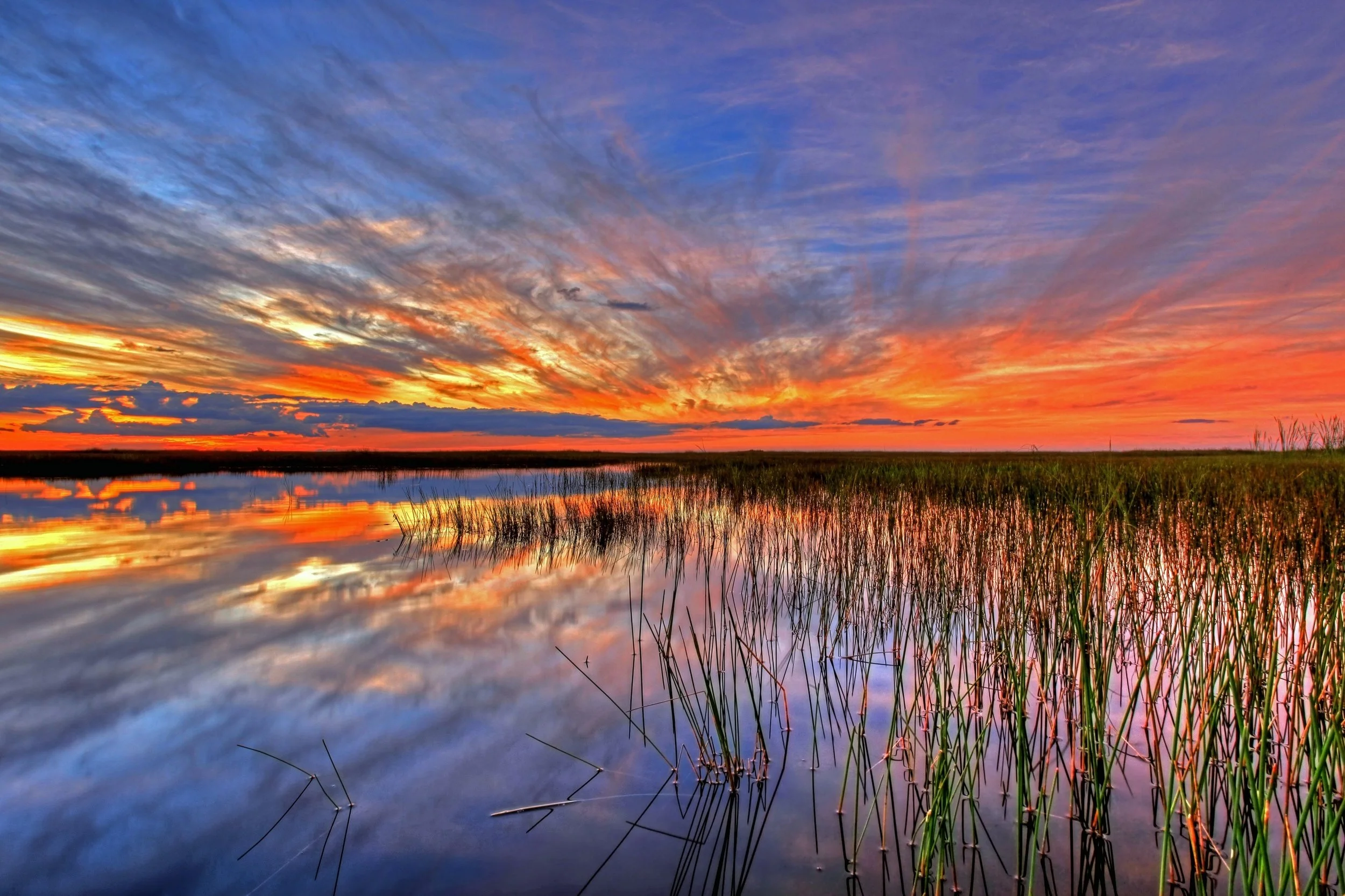 sunset-1018456.jpg