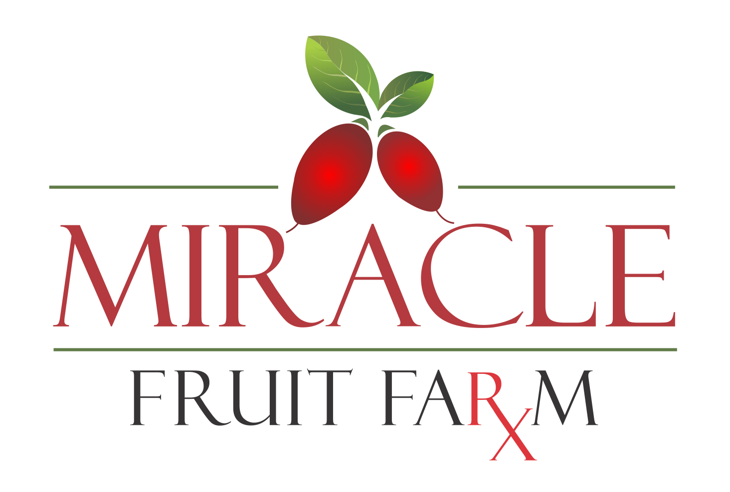 miracle fruit farm - png.png