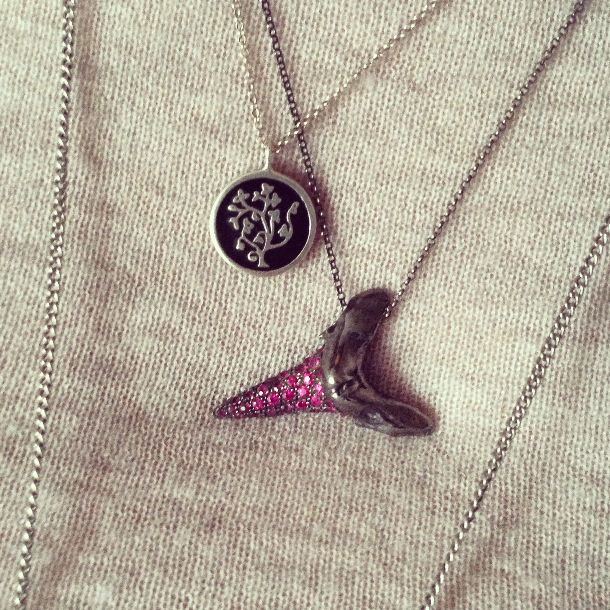 Shark Tooth and Tree.JPG