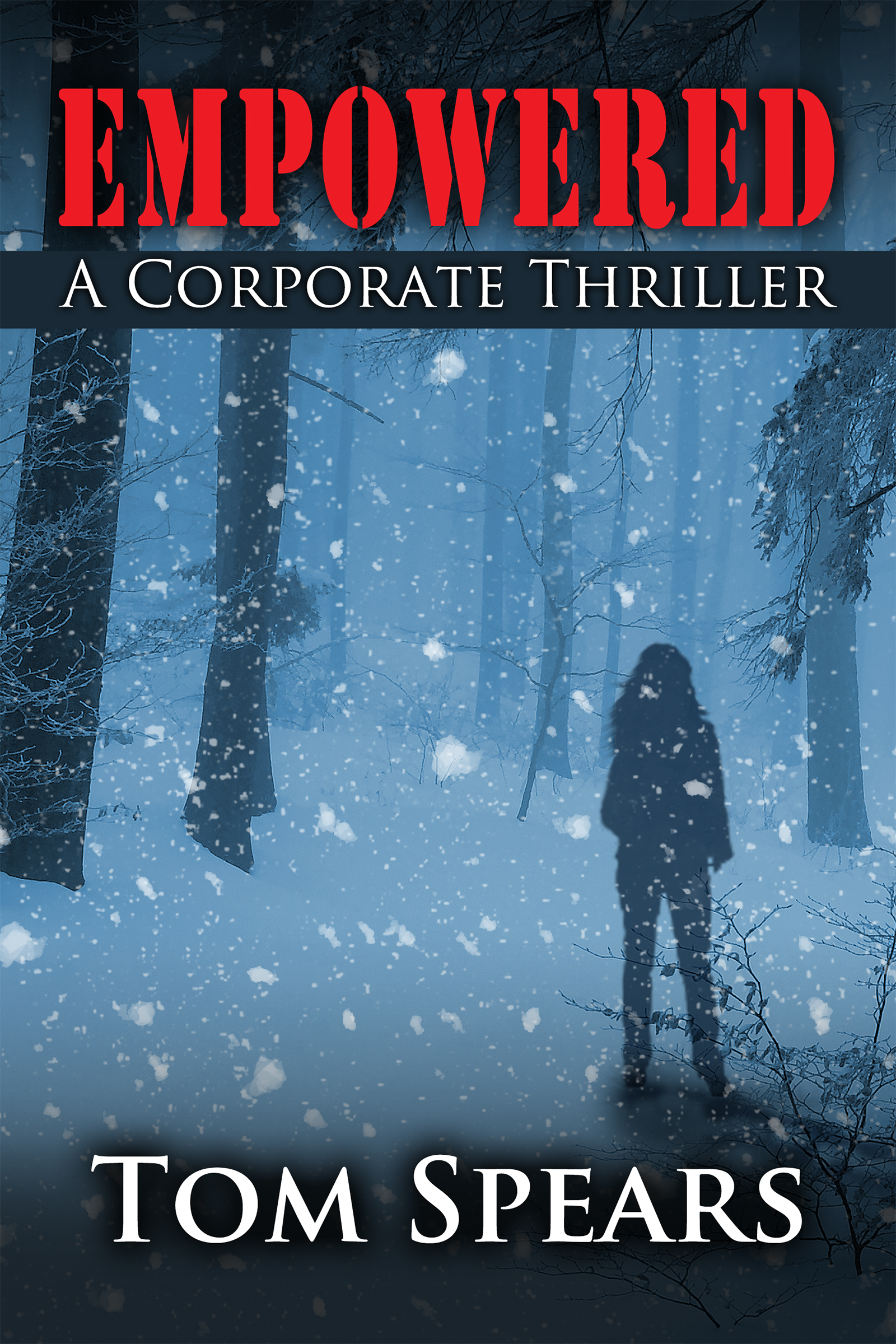 This is the cover of my most recent novel, EMPOWERED . 