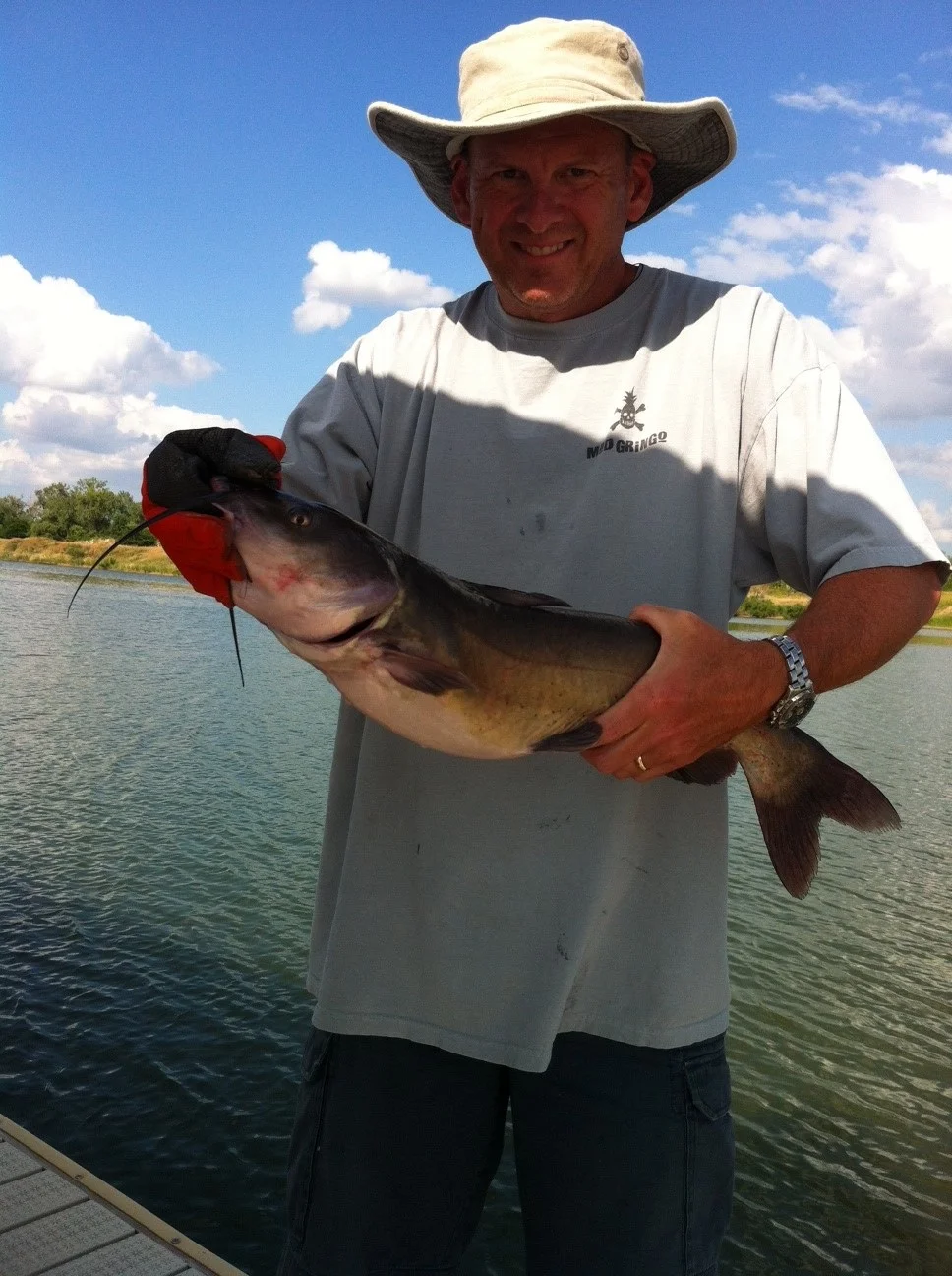 This big fish picture is here just for fun.