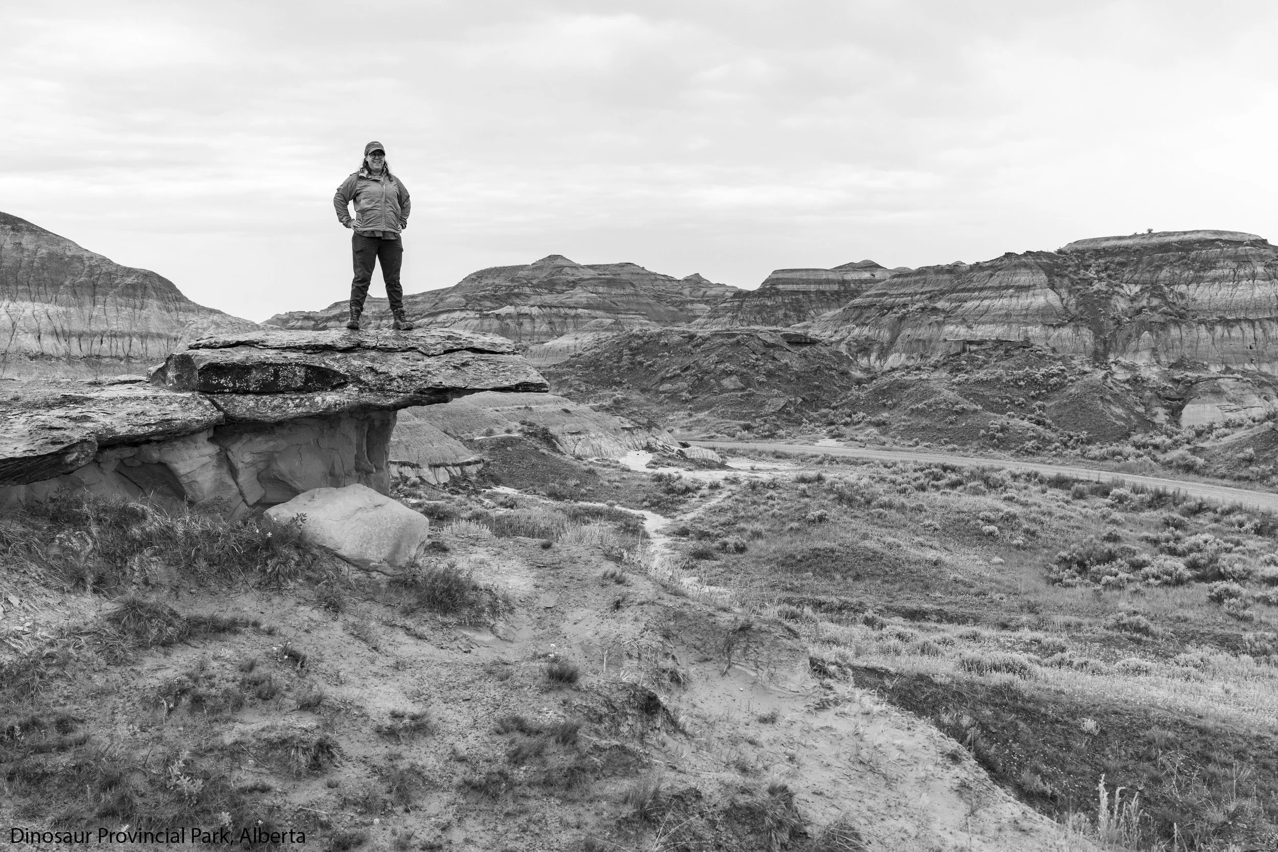 2406-114-Enhanced-NR copy.jpg