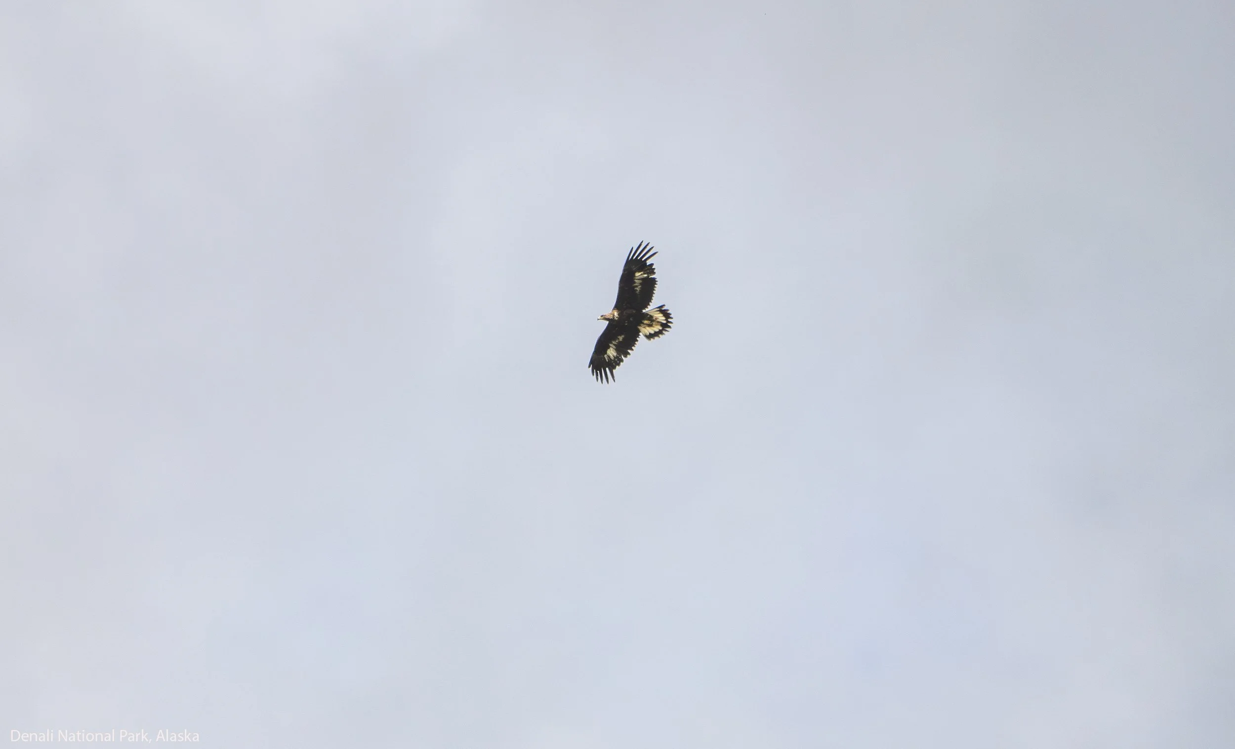 2406-1939-Enhanced-NR copy.jpg