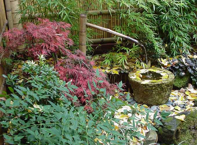 Water Basin
