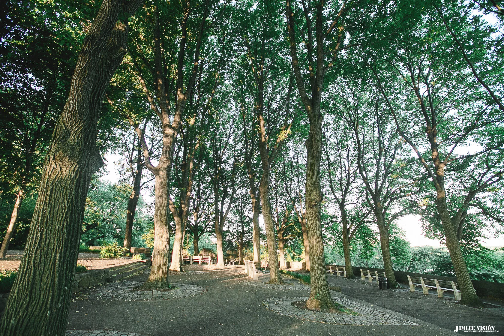 01-C92T2379.jpg