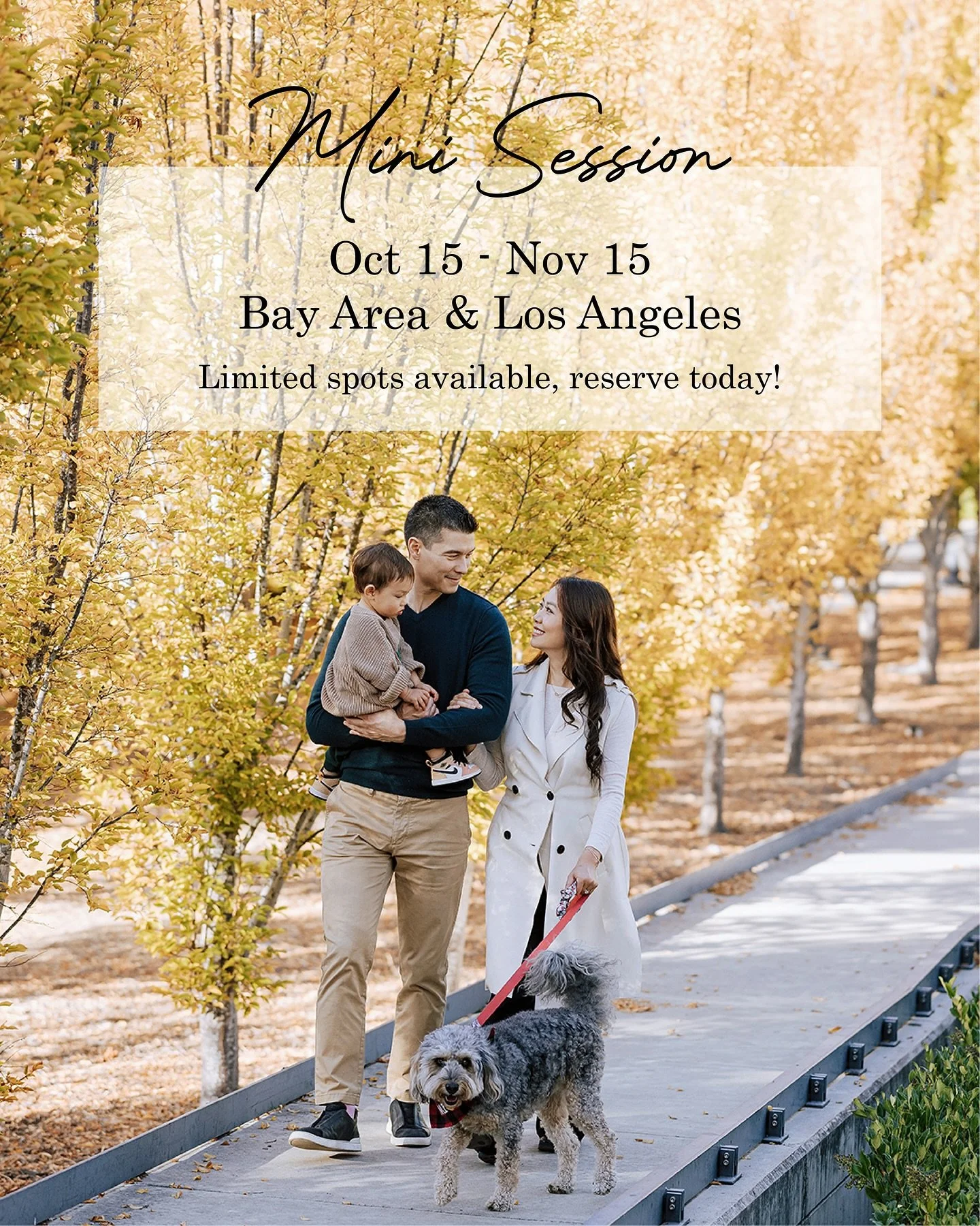 📸 Mini Portrait Session
Oct 15 &ndash; Nov 15
Bay Area &amp; Los Angeles

Fall is here! Cooler days and golden light make it the perfect season to capture your family, your love, or simply yourself 🌾

I&rsquo;m opening limited bookings for this fal