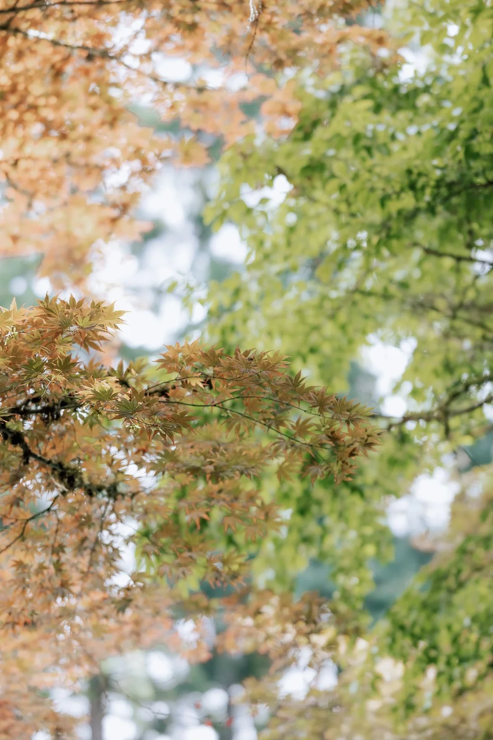 029 -030 -C42A0142.jpg