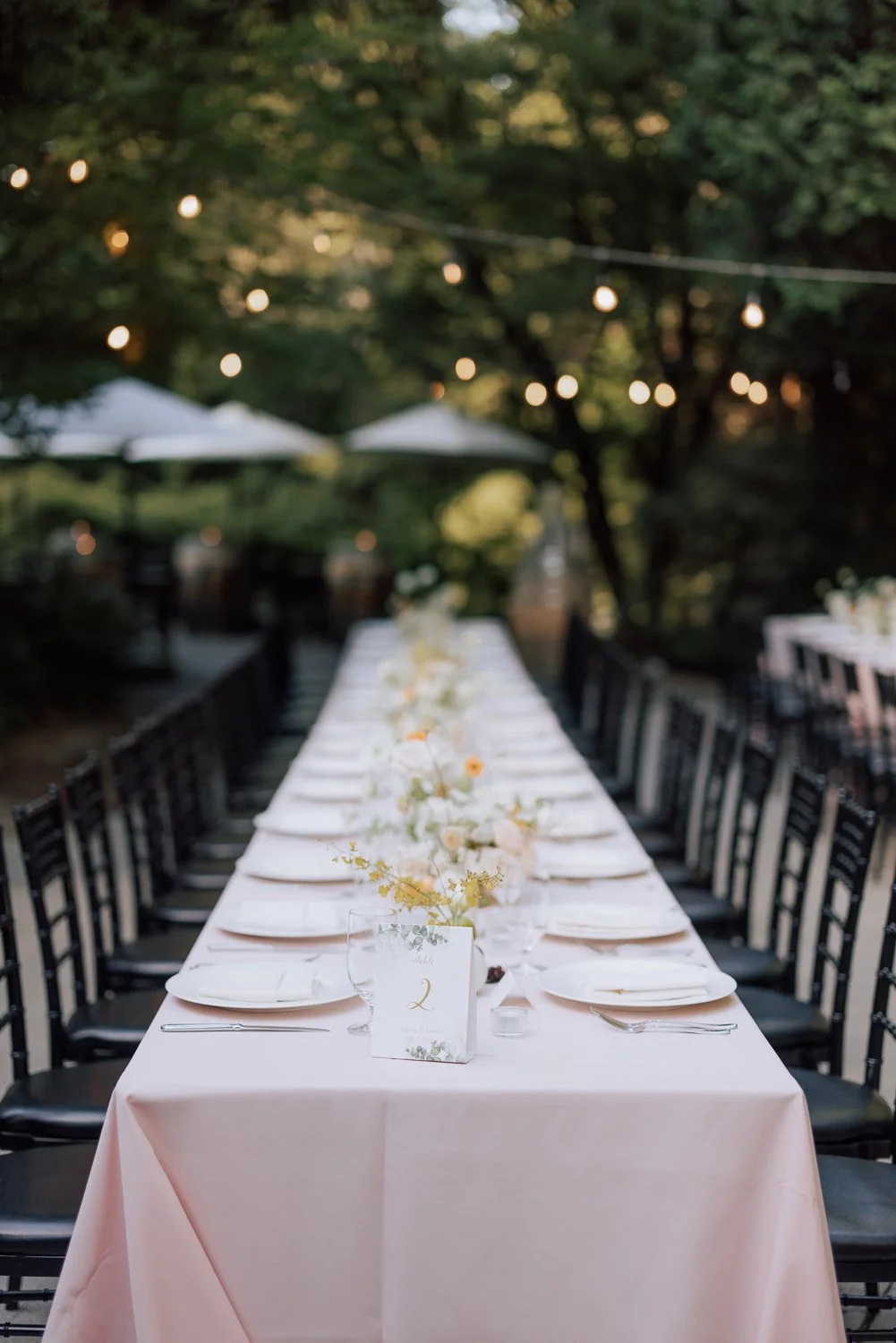 062 -107 -SAPV1505.jpg